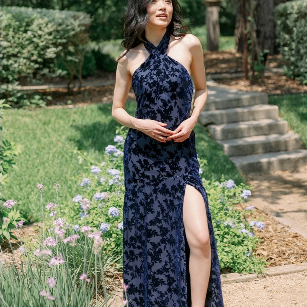 Revelry Athena Floral Burnout Velvet Dress